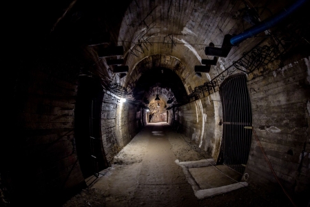 TAURON Festiwal Kwiatów - Podziemia od 19:00 (bilet oddzielny)