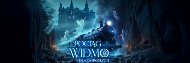 Festiwal - Nocne zwiedzanie dla dorosłych (bilet oddzielny)