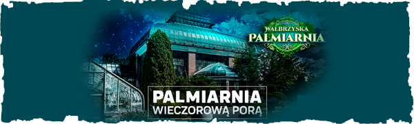 Palmiarnia wieczorową porą 