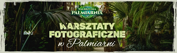 Warsztaty fotograficzne w Palmiarni